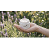 Crème visage hydratante naturelle Althéa parfum verveine